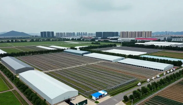 电商系统兼容性操作指南与维护建议